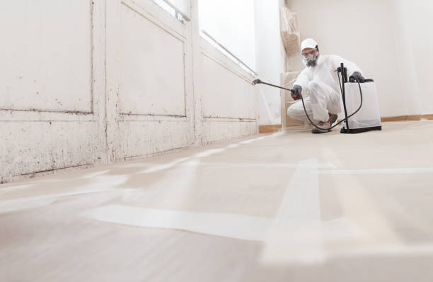 24/7 Emergency Mold Removal experts in Boiling Springs, NC