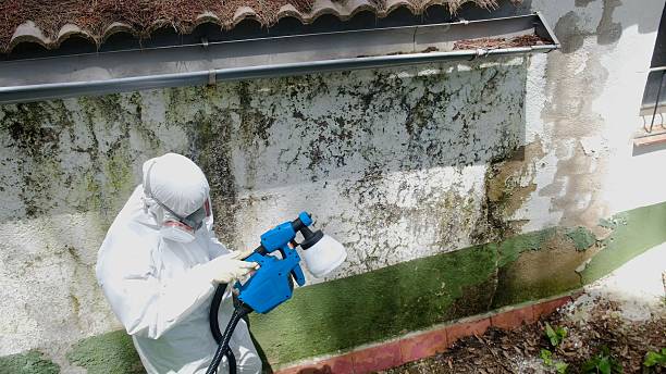 Top rated local Mold Removal specialists in Boiling Springs, NC